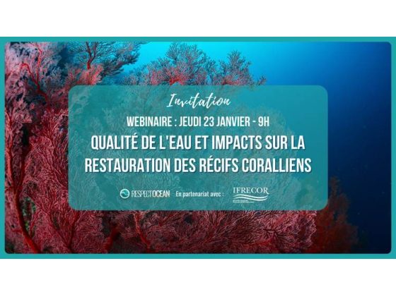 RespectOcean - Webinaire - "Qualité de l'eau et impacts sur la restauration des récifs coralliens"