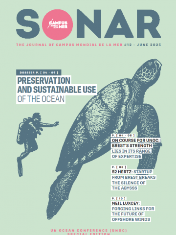 couv SONAR 12 EN.png